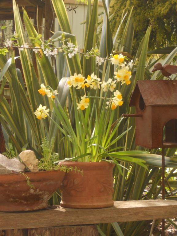 Astley Cottage Daylesford Luaran gambar
