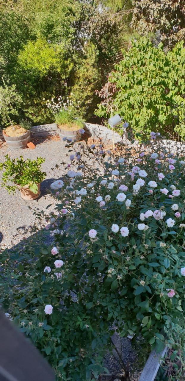 Astley Cottage Daylesford Luaran gambar